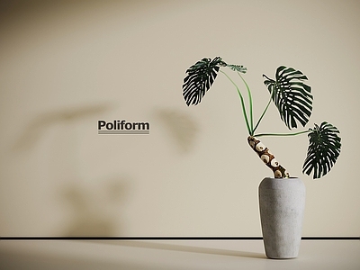盆栽 现代绿植盆栽