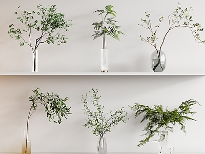 水生植物 蕨类植物 花瓶花艺 植物摆件 绿植摆件 花瓶绿植