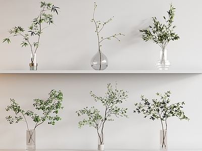水生植物 蕨类植物 花瓶花艺 绿植摆件 植物摆件 花瓶绿植