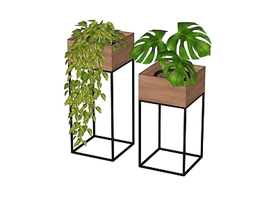 植物组合 盆栽组合 树池植物组合 花架