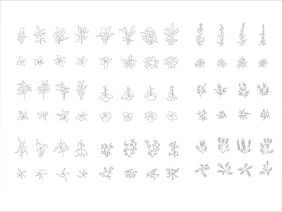综合植物图库 植物图库 施工图