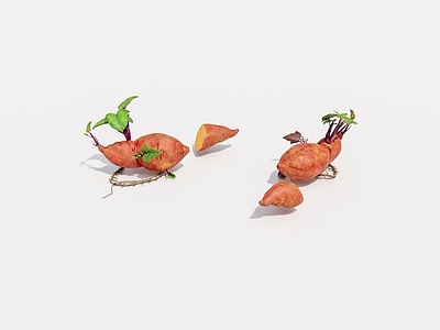 水果蔬菜 蔬菜 红薯