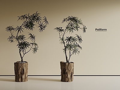 盆栽 中古风绿植 盆栽