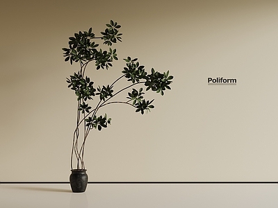 盆栽 中古风绿植 盆栽