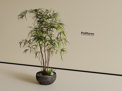 盆栽 中古风绿植 盆栽