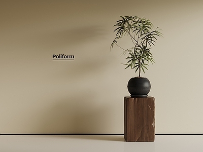 盆栽 新中式盆栽 绿植