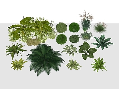 植物组合 植物组合 绿植