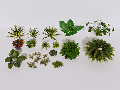 植物组合 植物 绿植 植物组合 绿植组合