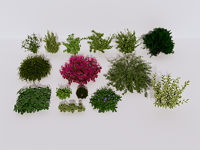 植物组合 绿植 植物 绿植组合 植物组合