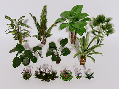 植物组合 花卉 绿植 植物 绿植组合 植物组合