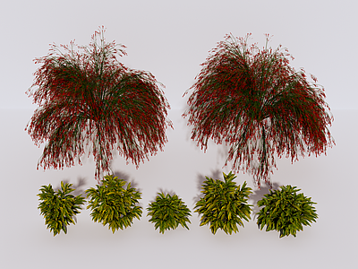 植物组合 植物 绿植 植物组合 绿植组合