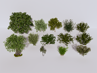 植物组合 植物 绿植 植物组合 绿植组合