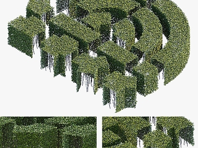 灌木 灌木丛