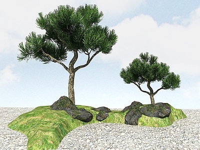 现代办公桌 景观植物黑松