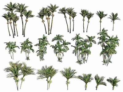 现代办公桌 现代植物花草