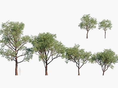 现代办公桌 现代植物树木盆架树