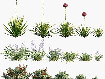 现代办公桌 现代植物灌木花草红