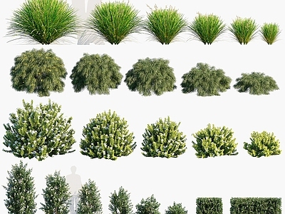 现代佛龛 现代植物树木花草