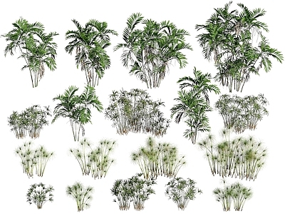 现代办公桌 现代植物树木