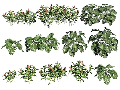 现代佛龛 现代植物花草