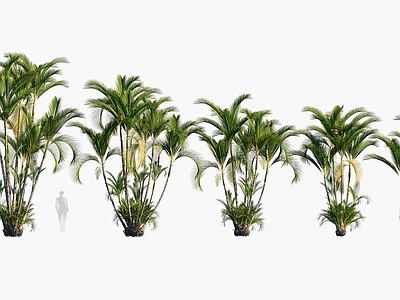 现代佛龛 现代植物花草合集