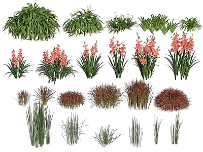 现代佛龛 现代植物花草花卉