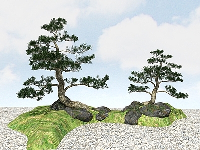 现代办公桌 景观植物黑松