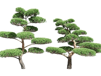 现代办公桌 现代盆景松树
