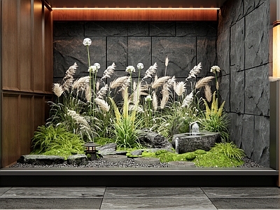 现代室内景观 花草组合 芦苇 水钵水景 苔藓 植物景观
