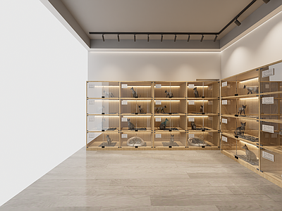 现代简约宠物店 现代简约宠物店 宠物寄养间 猫活体柜