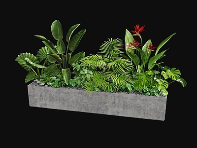 花箱 绿植花箱植物堆 植物景观 花草花箱 外摆绿植花箱