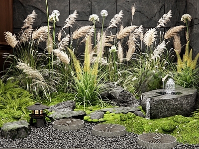 花草组合 芦苇 水钵水景 流水石 苔藓 汀步石头