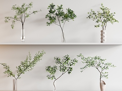 水生植物 花瓶花艺 植物摆件 绿植摆件 餐桌摆件 花瓶绿植