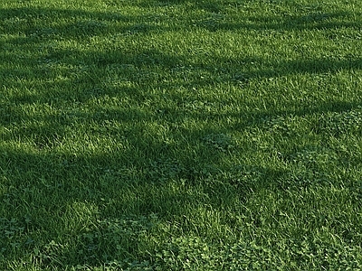 草
