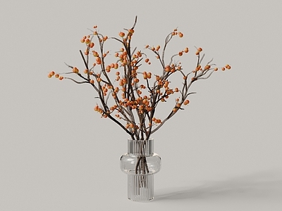 水生植物 现代 水滴玻璃花瓶 红果植物 水生植物