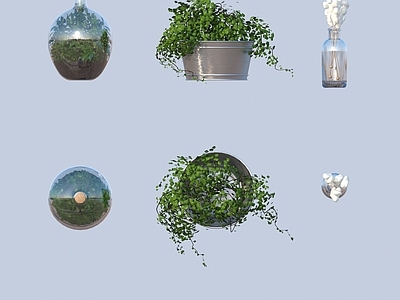 盆栽 植物盆栽