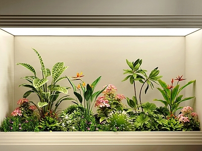现代室内景观 庭院景观 植物花草组合 植物堆 景观小品 景观造景