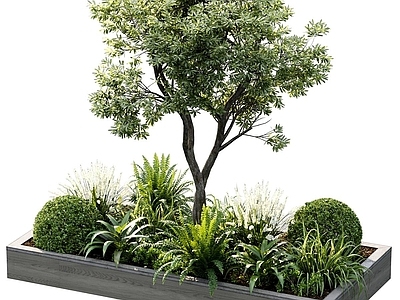 植物堆 绿植 植物 花坛