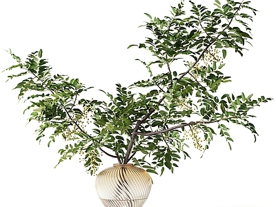 新中式现代花艺 花瓶 花艺 花枝 枝条