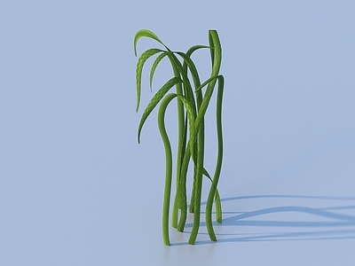 草 水草 蔬菜 菜叶