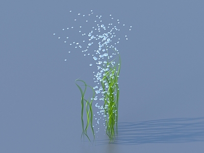 草 水草 水泡 汔泡