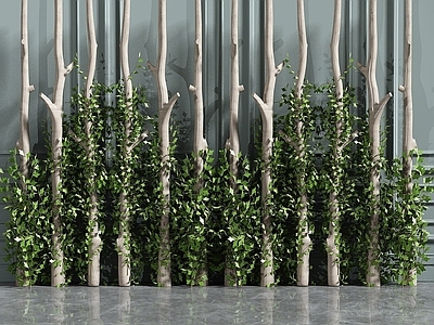 现代办公桌 植物