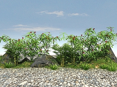 现代办公桌 常绿景观植物