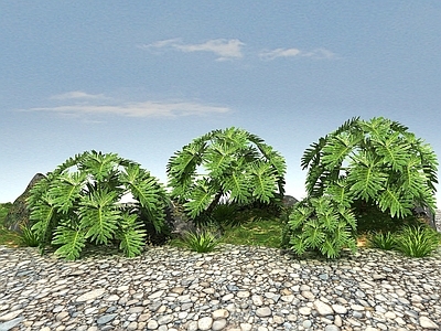 现代办公桌 常绿景观植物
