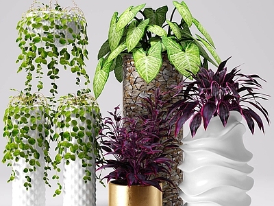 现代佛龛 现代植物盆栽