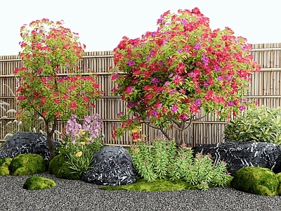 乔木 月季花 山茶花 花树 杜鹃 灌木