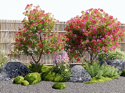 花草组合 山茶花 月季花 灌木 植物堆 花树