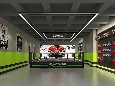 现代健身房 拳击擂台 擂台 拳击