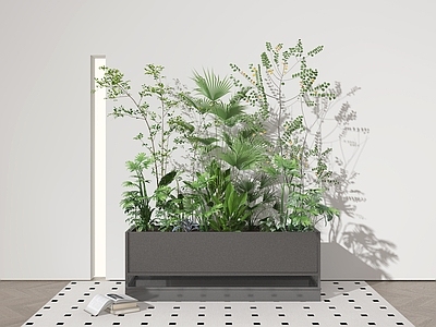 其他绿植 植物堆 绿植堆 灌木 盆栽 盆景