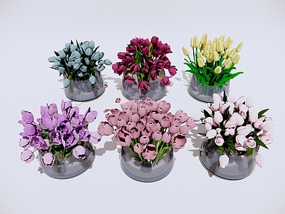 花草 郁金香鲜花 水培花瓶